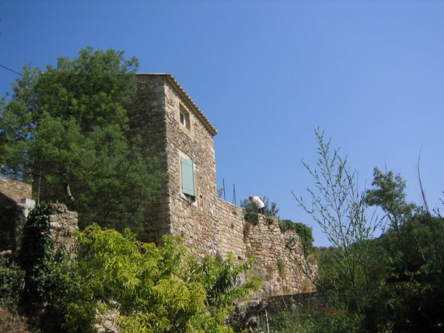 Photograph