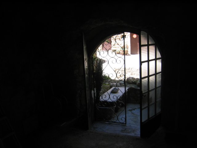 Photograph