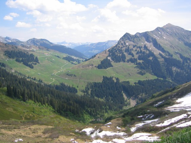 Photograph