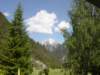 Photo Number 13