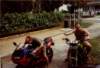 Photo Number 13